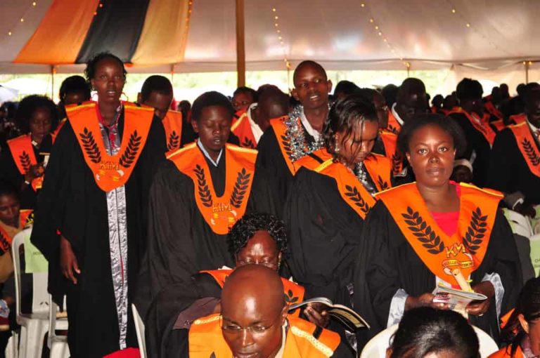 Kenya Institute of Management Fee Structure