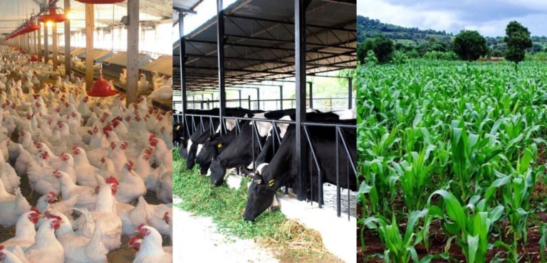 PicsArt 08 15 06.23.44