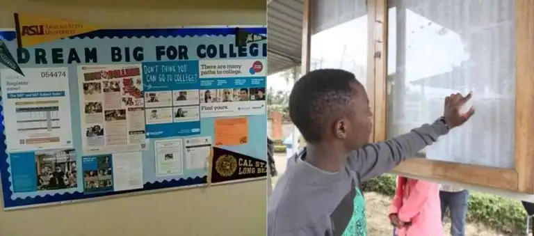 7 Vital Pieces of Information you will run into on a Campus Notice Board.