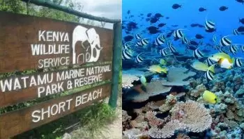 List Of Marine National Parks In Kenya