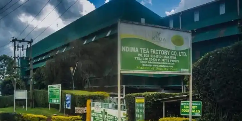 NDIMA Tea factory