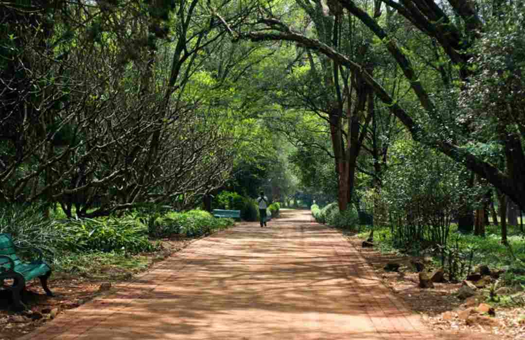 Things to Do in Nairobi