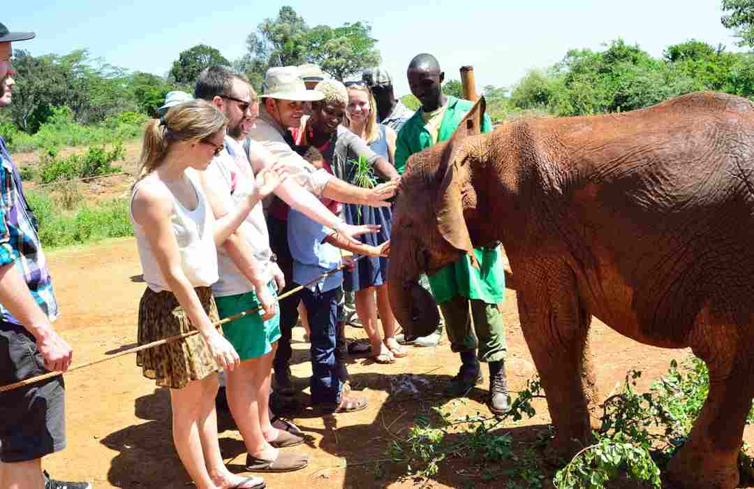 Things to Do in Nairobi