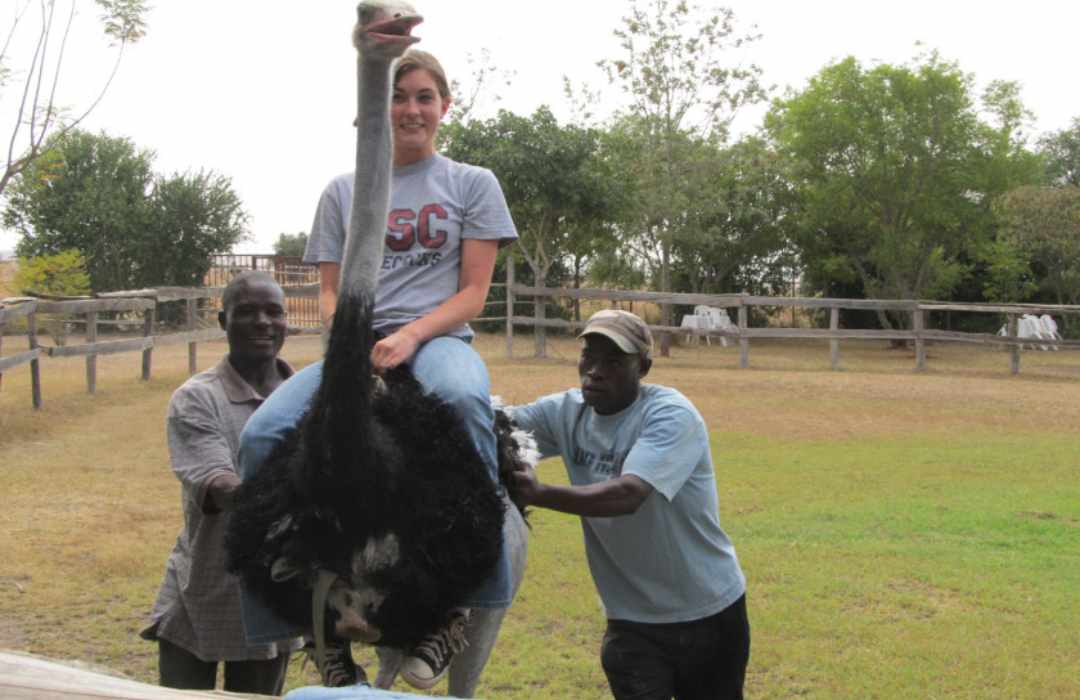 17 Fun Things to Do in Nairobi, Kenya