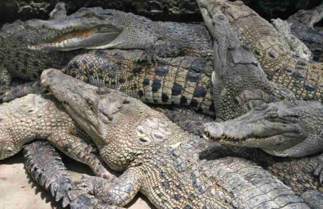 17 Fun Things to Do in Nairobi