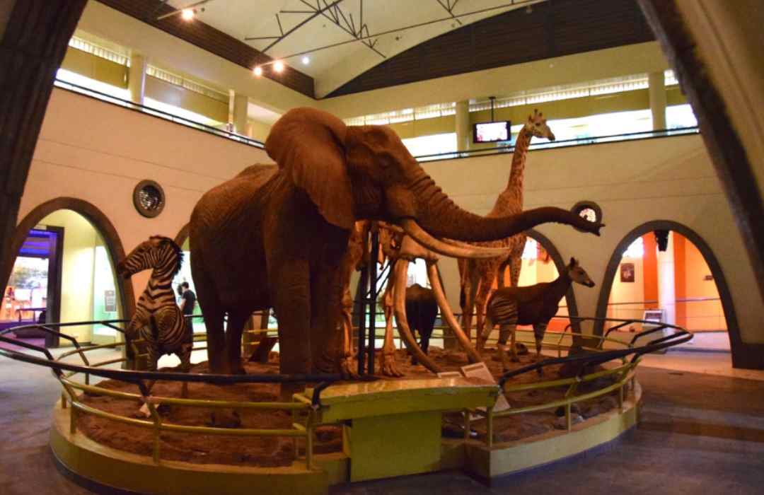 Things to Do in Nairobi