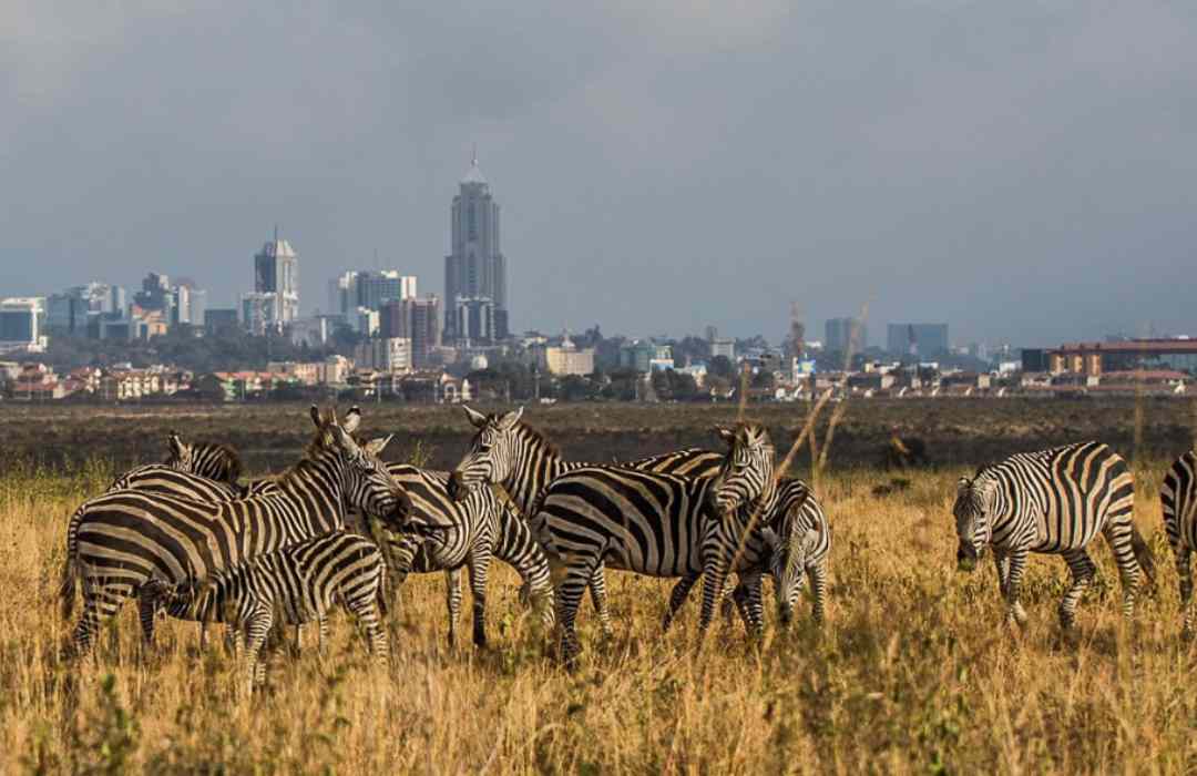 Things to Do in Nairobi
