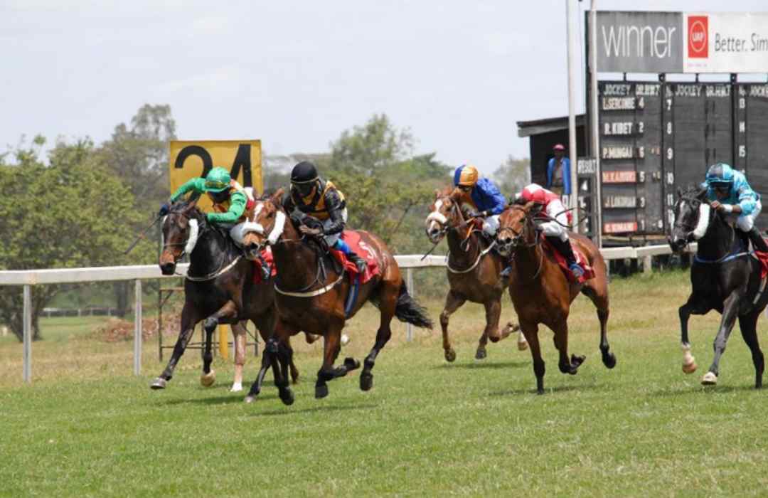 Things to Do in Nairobi, Kenya