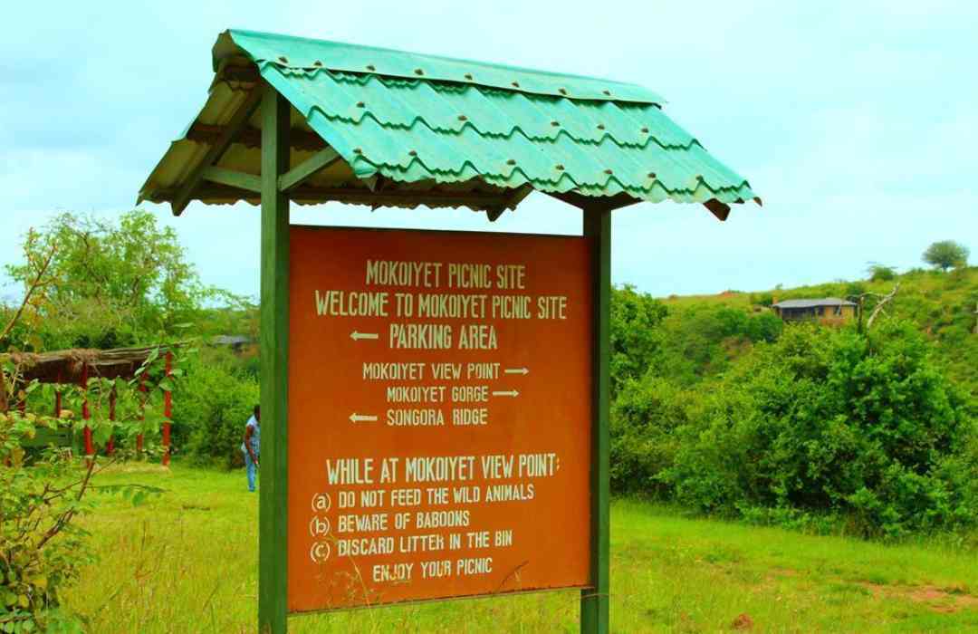 Simplified Nairobi National Park Travel Guide