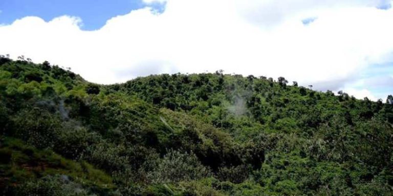 Experiencing The Beautiful Mau Eburu Forest