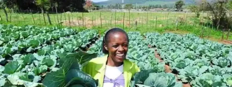 Profitable Agribusiness Ideas In Kenya