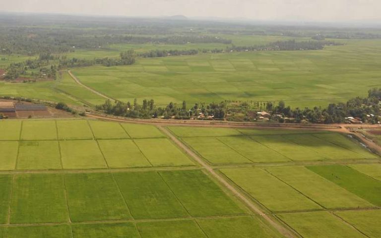 Mwea Irrigation Scheme