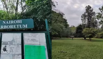The Nairobi Arboretum Entry Fees