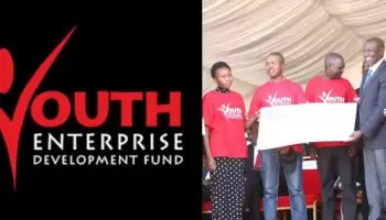 List Of Loans Offered By Youth Enterprise Development Fund