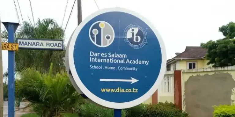 Dar es Salaam International Academy Fee Structure