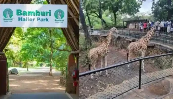 New Bamburi Haller Park Mombasa Entrance Fees