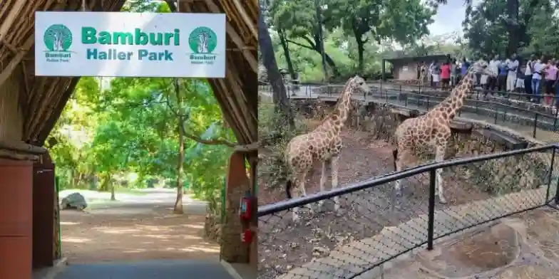 Bamburi Haller Park Mombasa