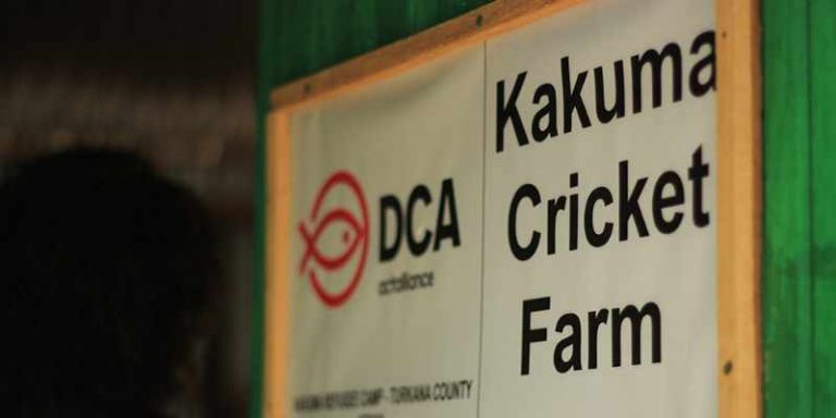 Cricket Farming In Kenya