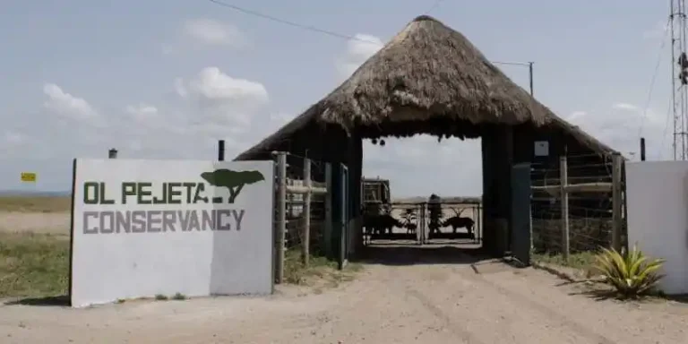 Ol Pejeta Conservancy Entry Fees