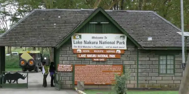Lake Nakuru National Park Entry Fees