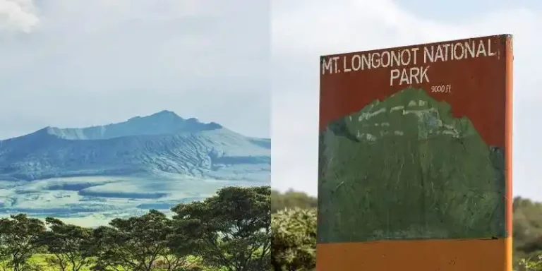 Mount Longonot National Park Entry Fees