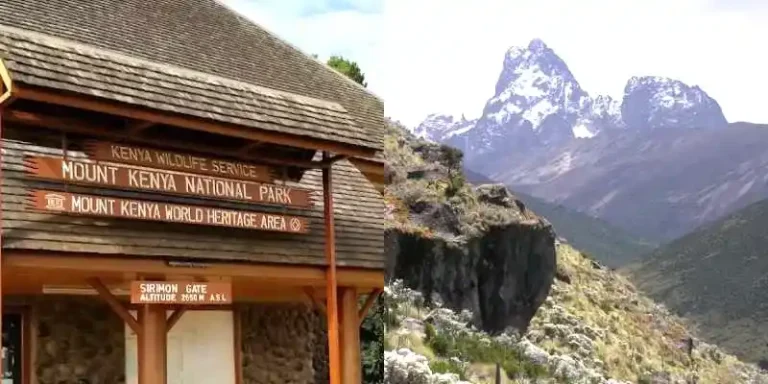 Mt Kenya National Park Entry Fees and Climbing Packages