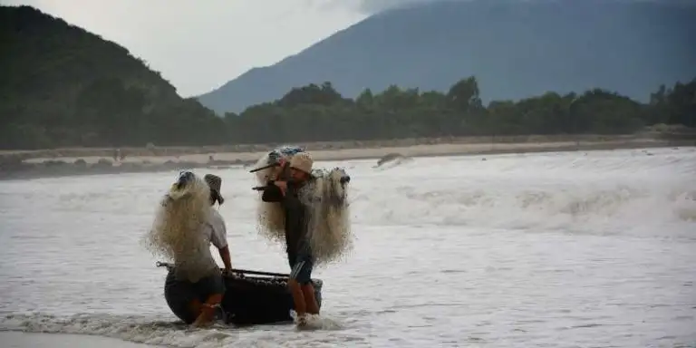 Become a Fisherman in No Time with These Words of Advice