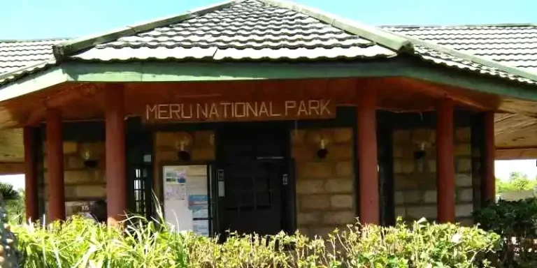 Meru National Park Entry Fees