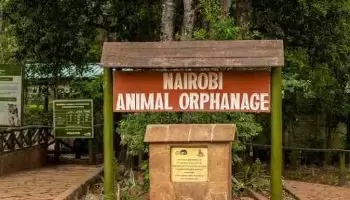 Nairobi Animal Orphanage Entry Charges 2025