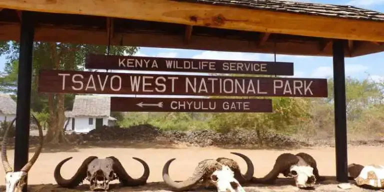 Tsavo West National Park Entry Fees