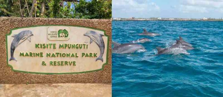 Kisite Mpunguti Marine National Park & Reserve