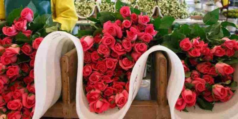 List Of Flower Exporters In Kenya
