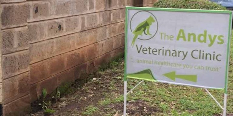 List Of Best Veterinary Clinics In Nairobi