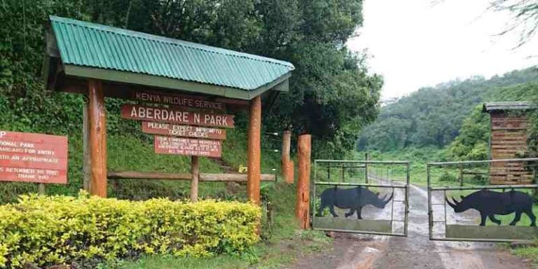 Aberdare National Park
