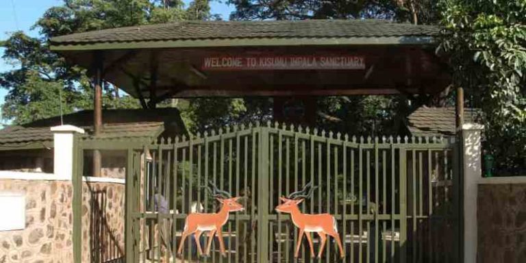 Kisumu Impala Sanctuary Park Entrance Charges