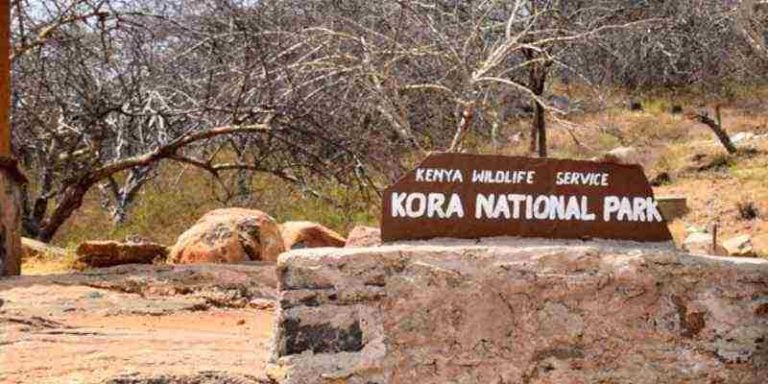 Kora National Park Entrance Fees