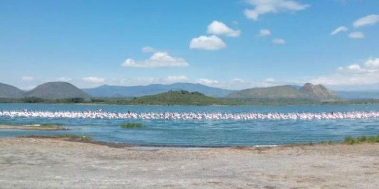 Lake Elementaita Wildlife Sanctuary