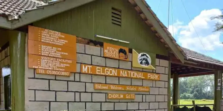 Mount Elgon National Park Entrance Fees