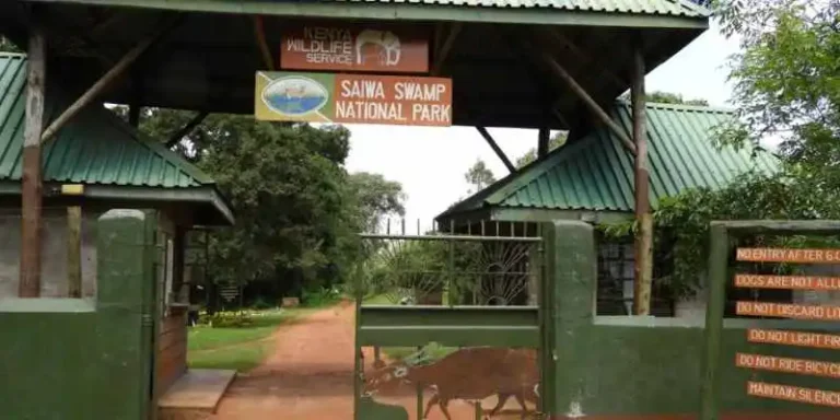 Saiwa Swamp National park Entrance Fees