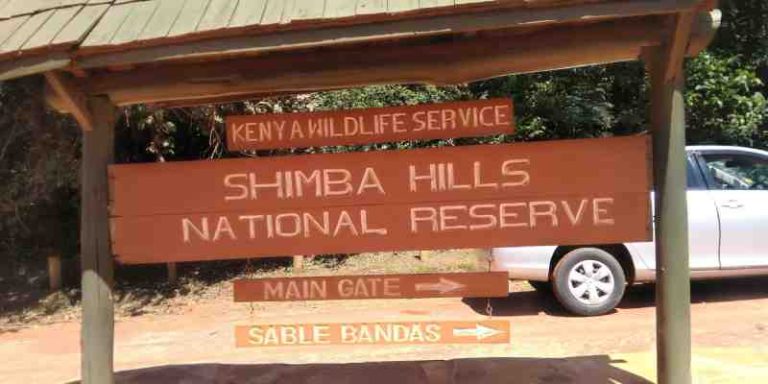 Shimba Hills National Reserve Entrance Fees