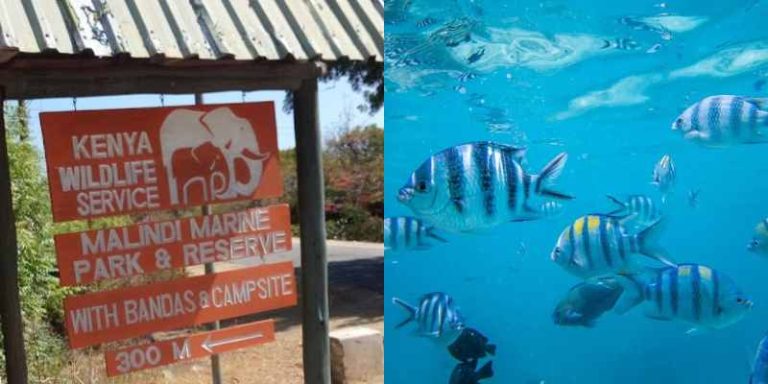 Malindi Marine National Park & Reserve