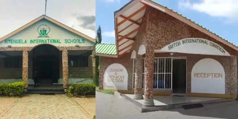 Kitengela International School