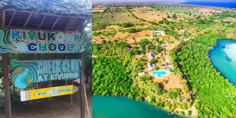 Kivukoni School