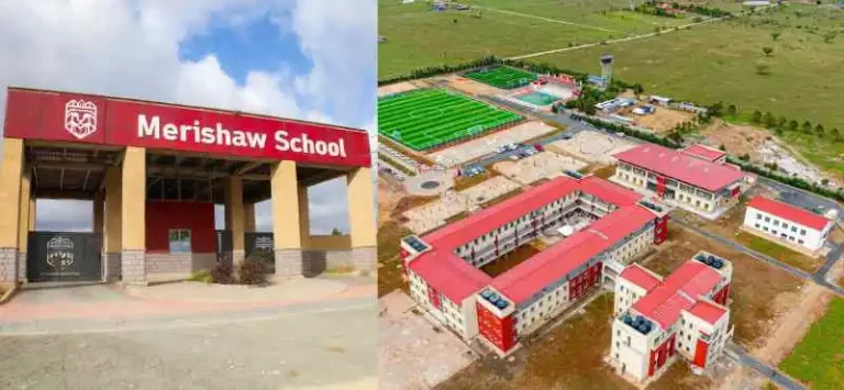 Merishaw School Fees Structure