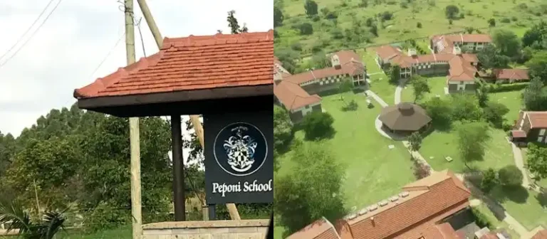 Peponi Senior School Fee Structure