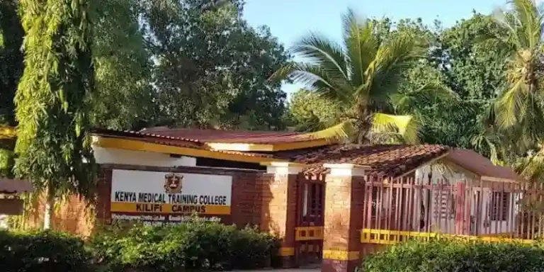 Courses Offered At KMTC Kilifi Campus And Fee Structure (1)