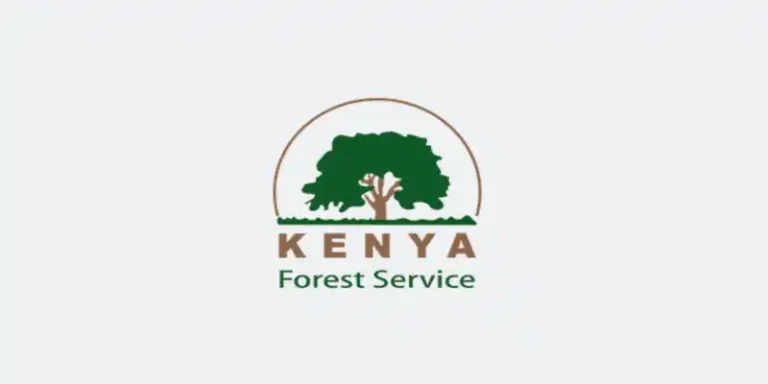 Functions Of The Kenya Forest Service (KFS)