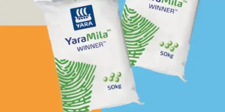 Best Fertilizers For Avocado Trees In Kenya