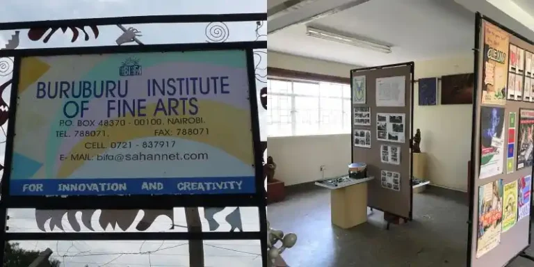 Buruburu Institute Of Fine Arts Courses And Fee Structure