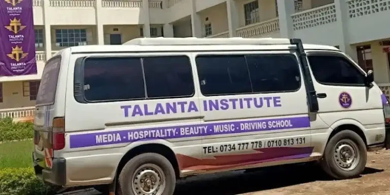  Talanta Institute Courses And Fees Structure